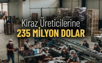 Kiraz ihracatı 235 milyon dolar gelir sağladı