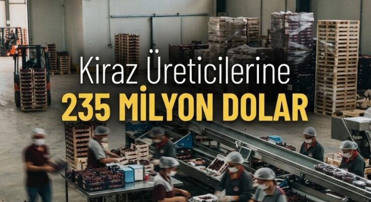 Kiraz ihracatı 235 milyon dolar gelir sağladı